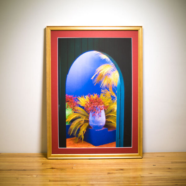 Framed photograph: Majorelle Garden, Marrakesh
